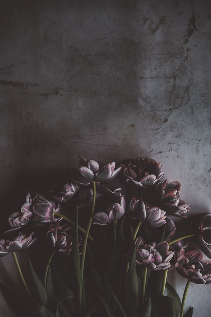 My favorite spring flowers
