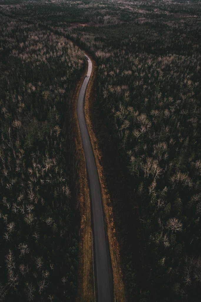 Where the road leads you